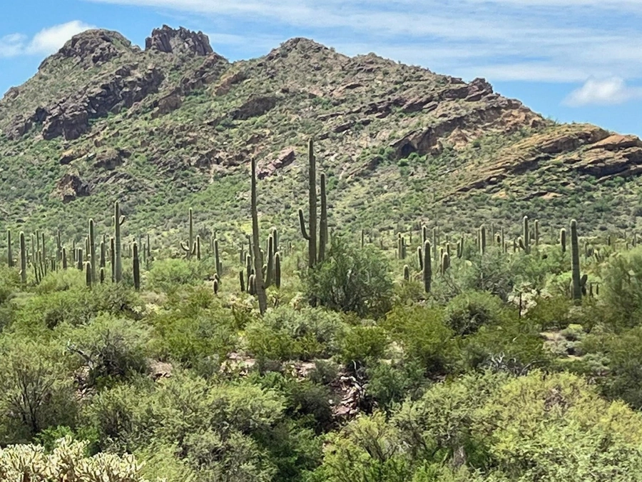 Desert Acreage in Buckeye