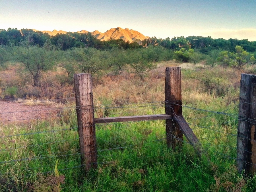 Rural Access Parcels in Buckeye